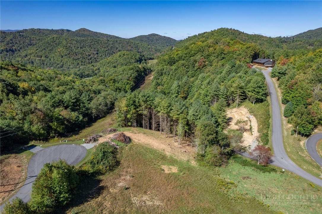 Lot 50 Snow Fox Lane Property Photo 4