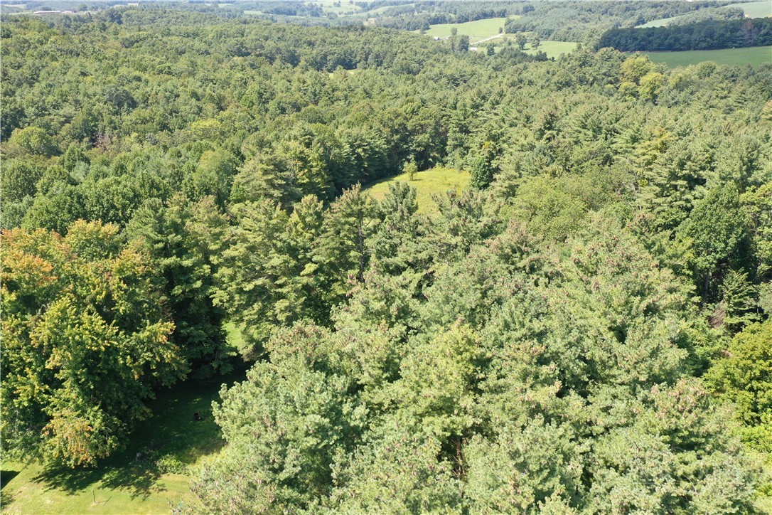 6627 Glade Valley Road Property Photo 47