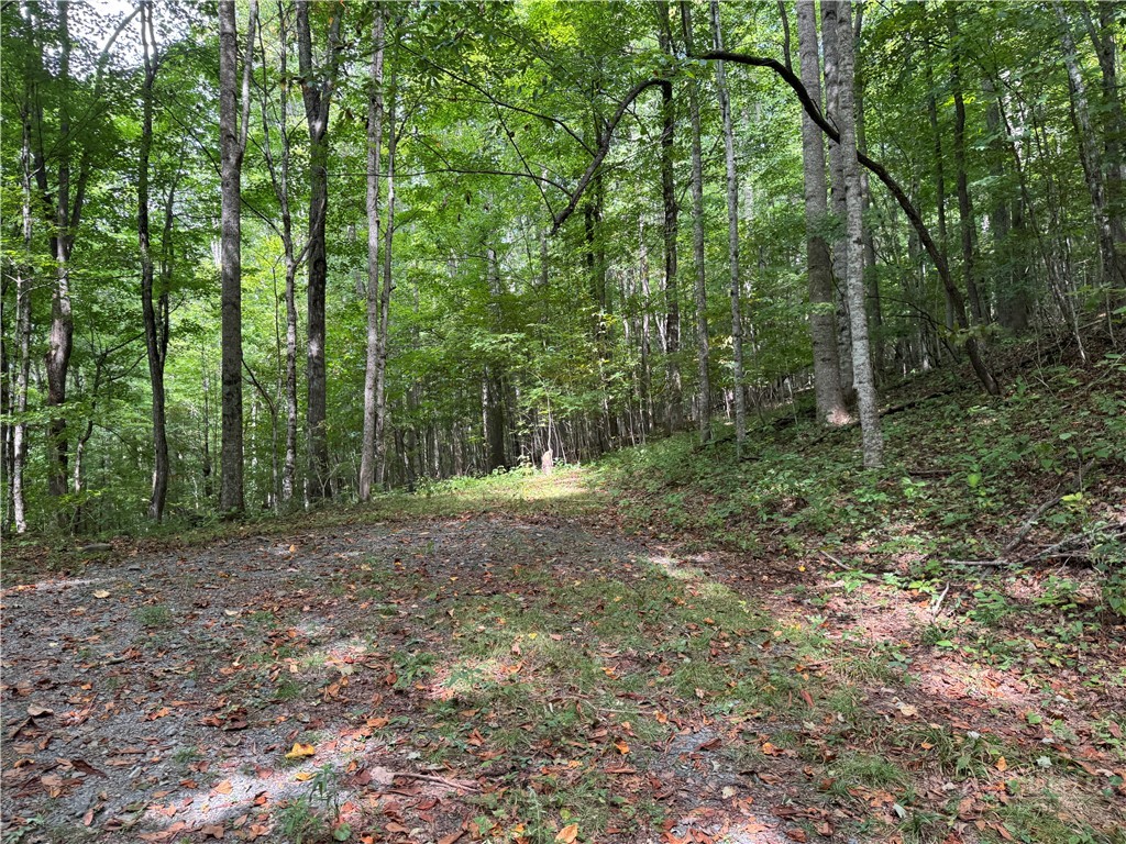 Lots 22,23,32,& 33 Marta Lane Property Photo 2