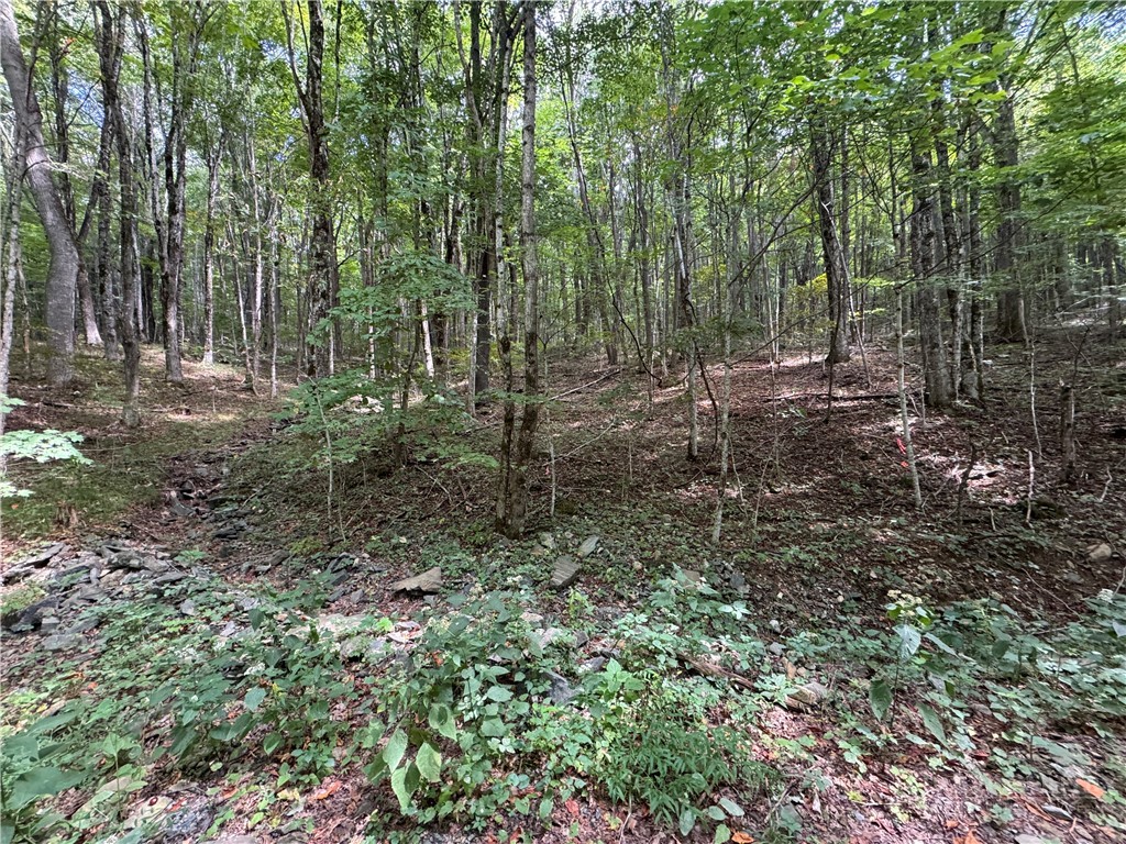 Lots 22,23,32,& 33 Marta Lane Property Photo 7