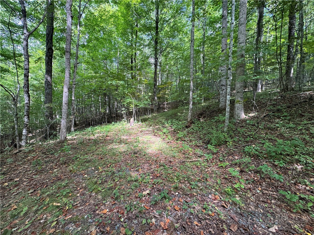 Lots 22,23,32,& 33 Marta Lane Property Photo 8