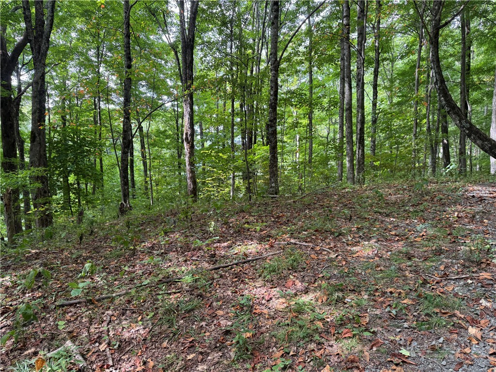 Lots 22,23,32,& 33 Marta Lane Property Photo 10