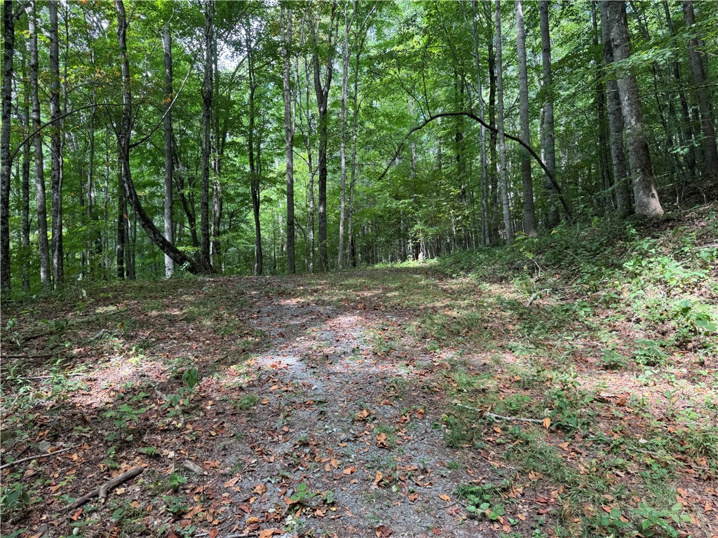 Lots 22,23,32,& 33 Marta Lane Property Photo 11