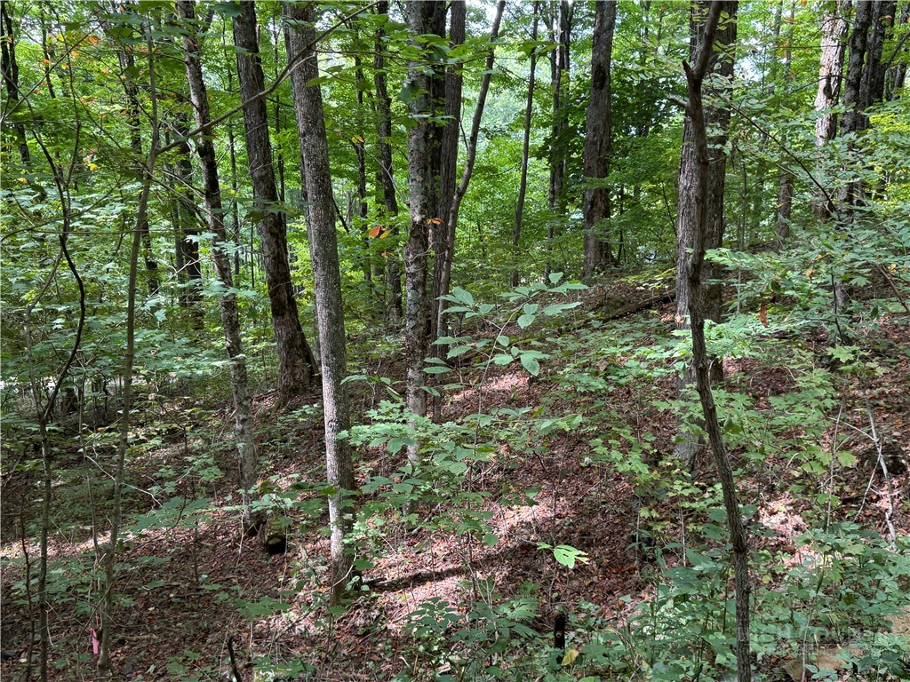 Lots 22,23,32,& 33 Marta Lane Property Photo 12
