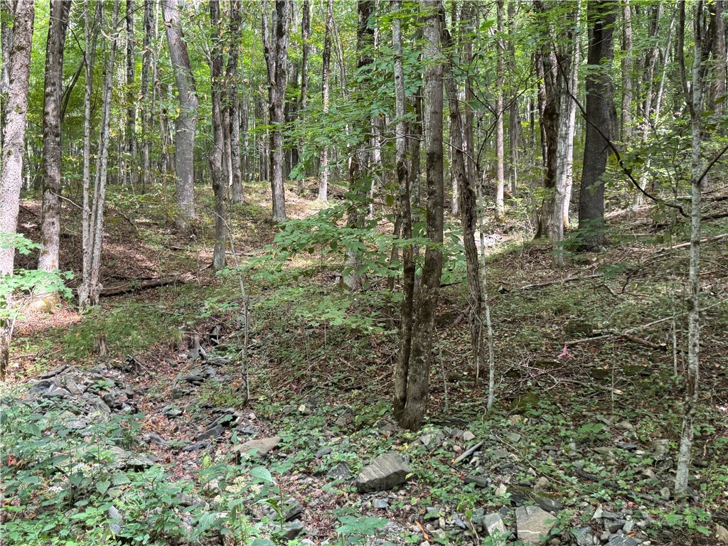 Lots 22,23,32,& 33 Marta Lane Property Photo 13