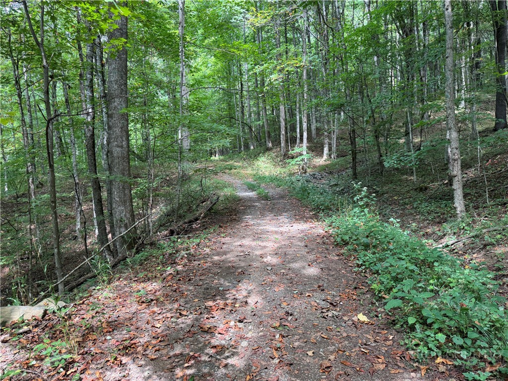 Lots 22,23,32,& 33 Marta Lane Property Photo 14