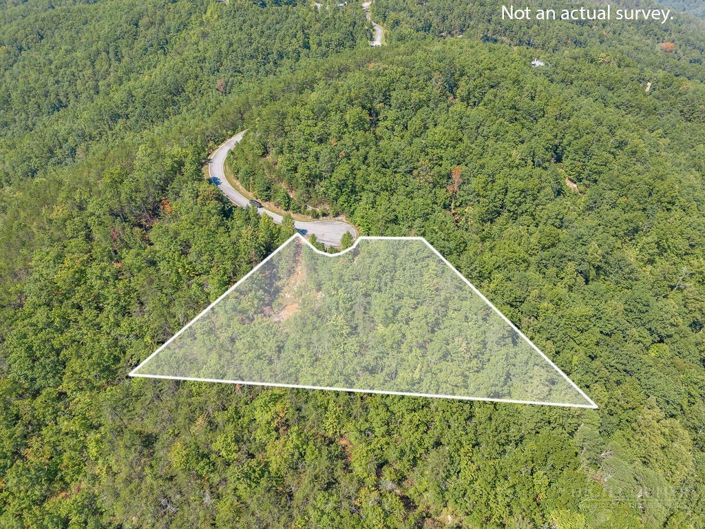 1319 Round Leaf Lane Property Photo 2