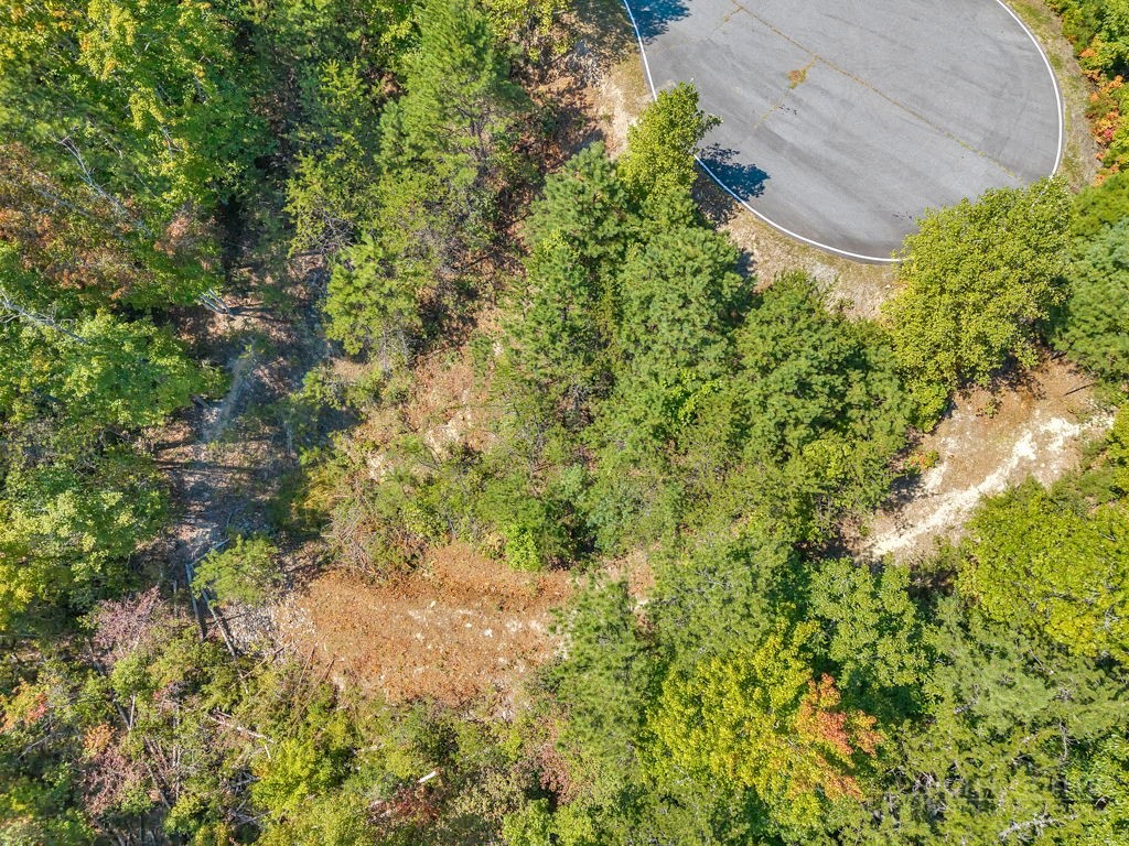 1319 Round Leaf Lane Property Photo 8