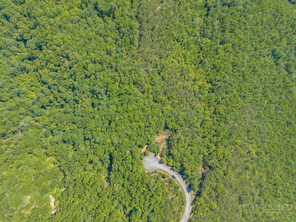 1319 Round Leaf Lane Property Photo 9