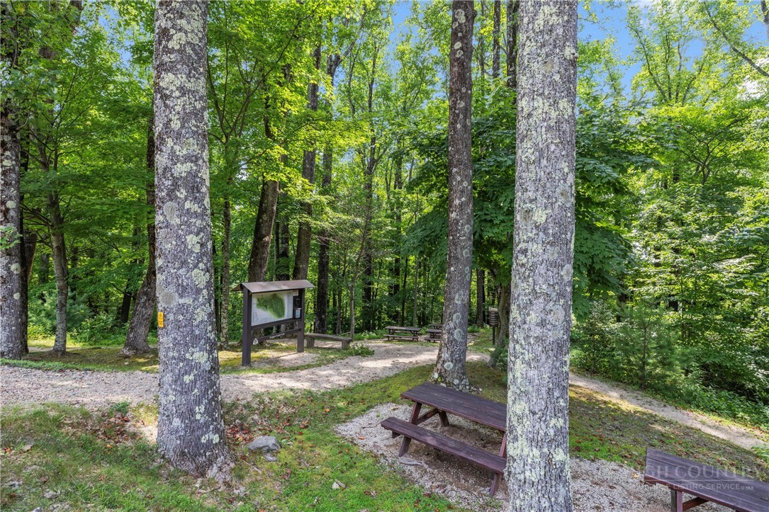 1319 Round Leaf Lane Property Photo 18