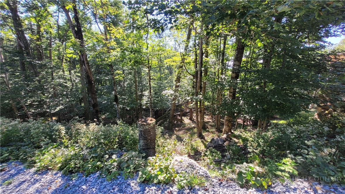 112 Upper Snowbird Trail Property Photo 1