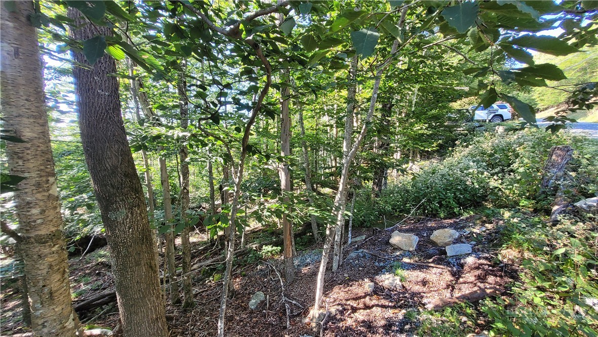112 Upper Snowbird Trail Property Photo 2