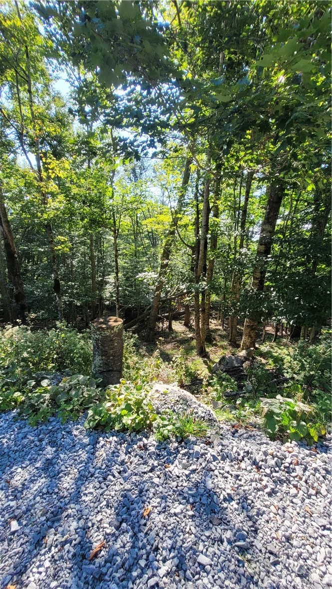 112 Upper Snowbird Trail Property Photo 3