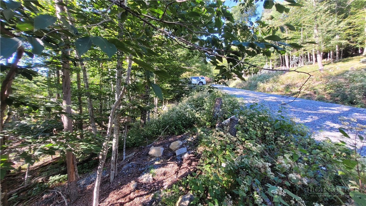 112 Upper Snowbird Trail Property Photo 5
