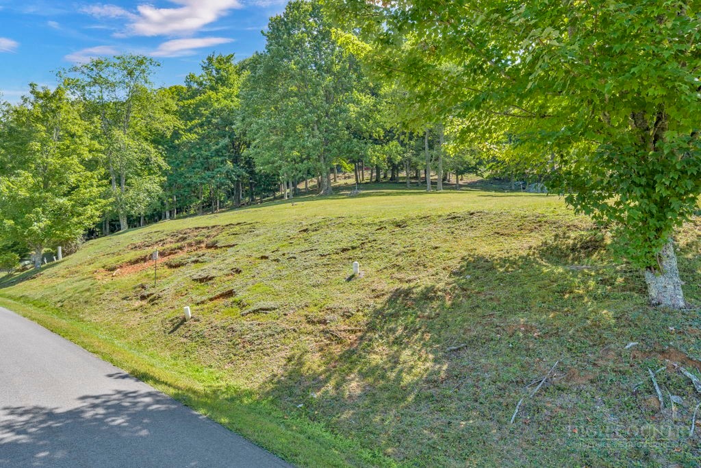Lot 52 Supreme Golden Road Property Photo 1