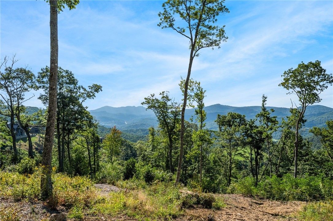 Lot G-61 American Eagle Trail Property Photo 1