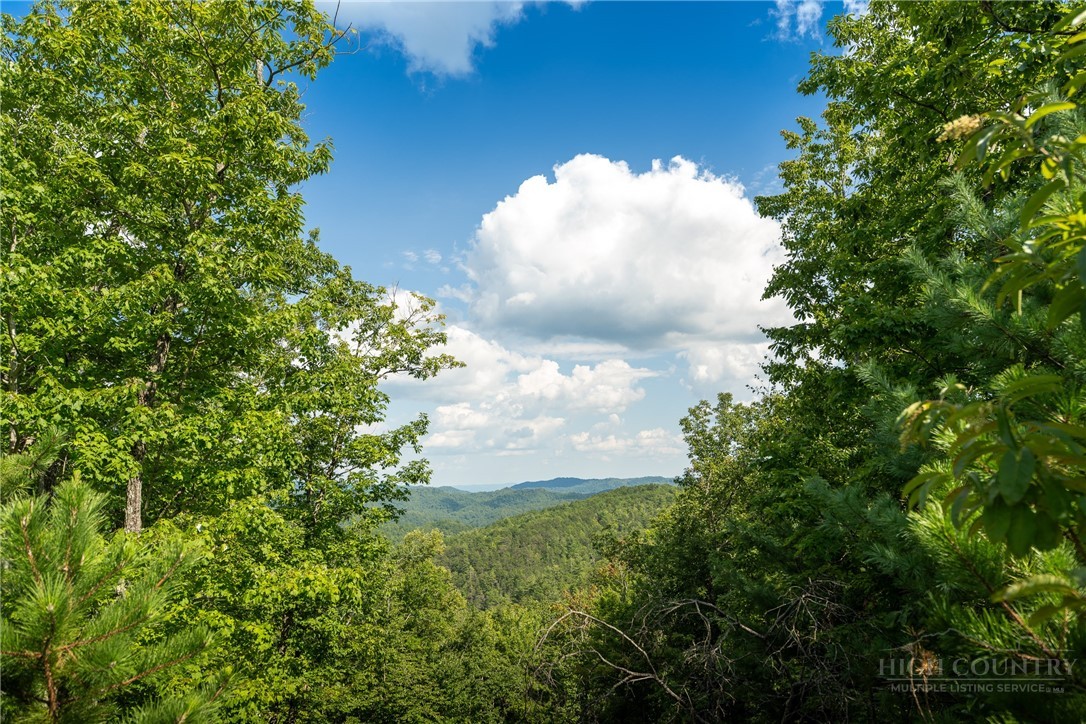 282 Ninebark Road Property Photo 11