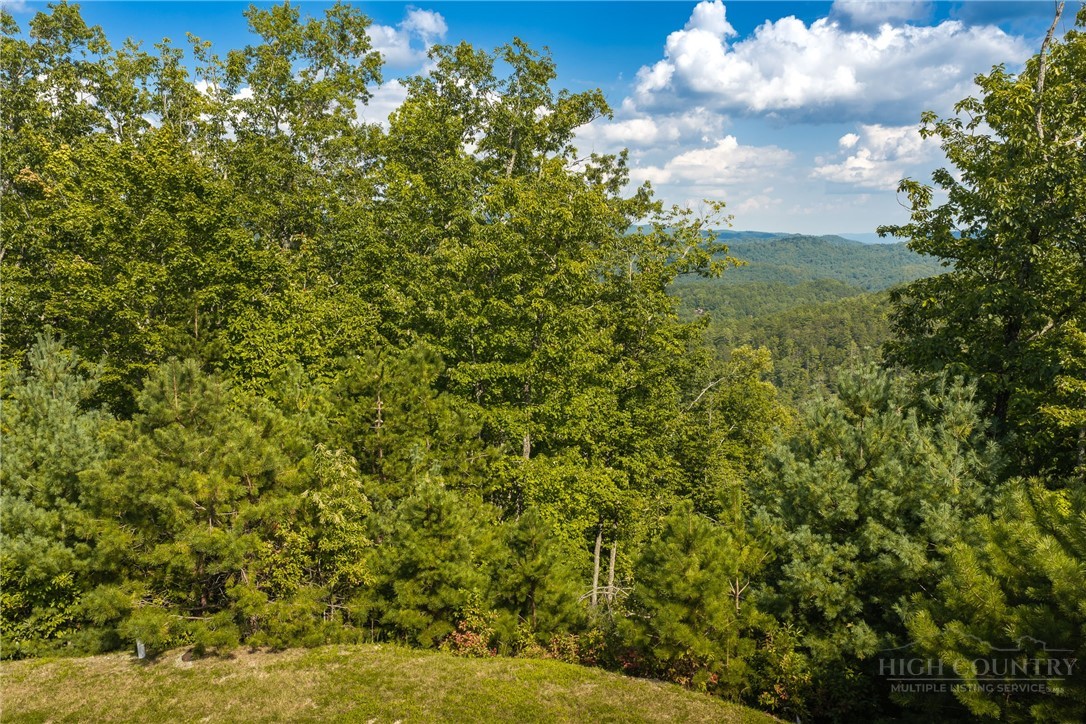 282 Ninebark Road Property Photo 12