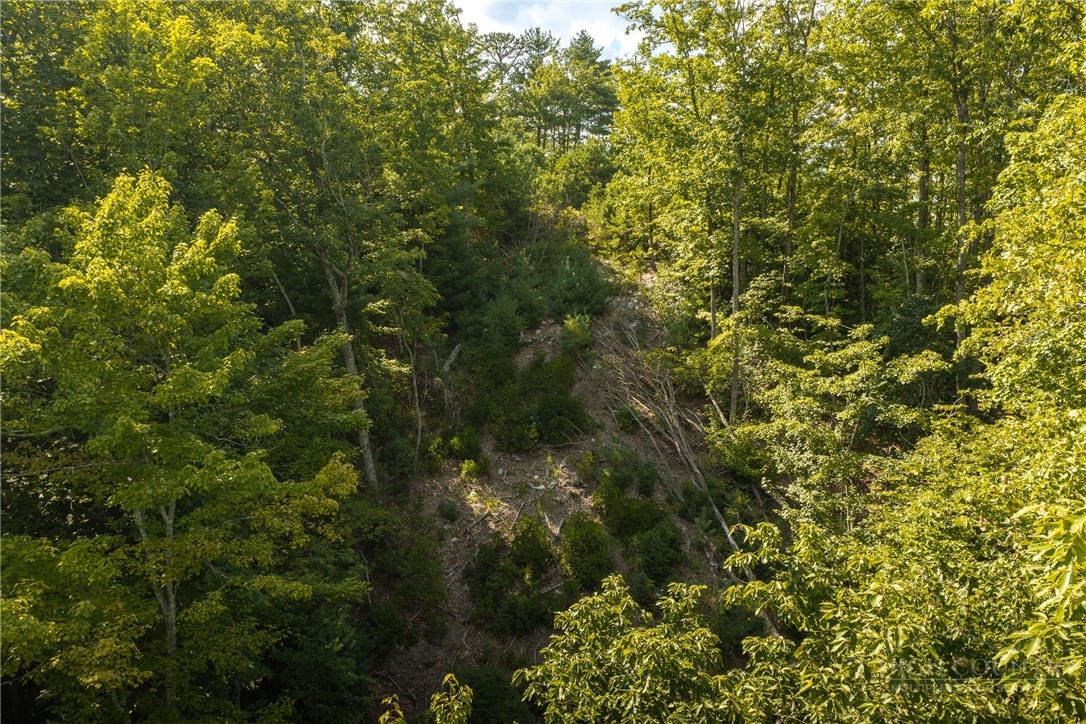 282 Ninebark Road Property Photo 15