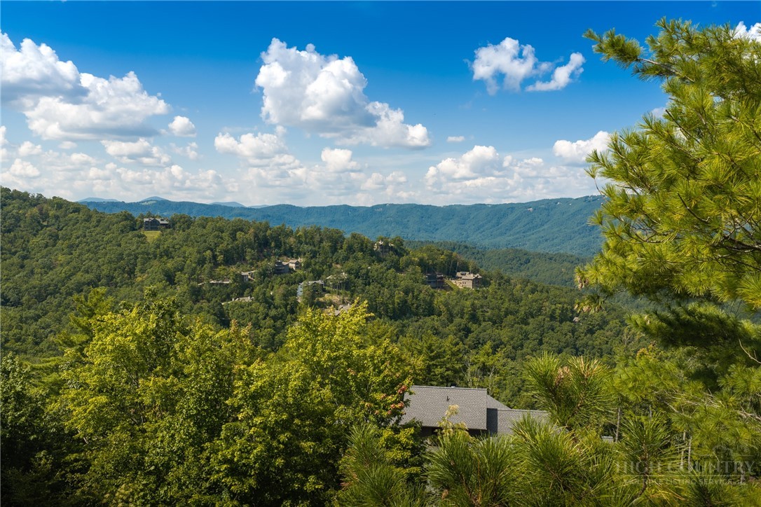 327 Lyreleaf Trail Property Photo