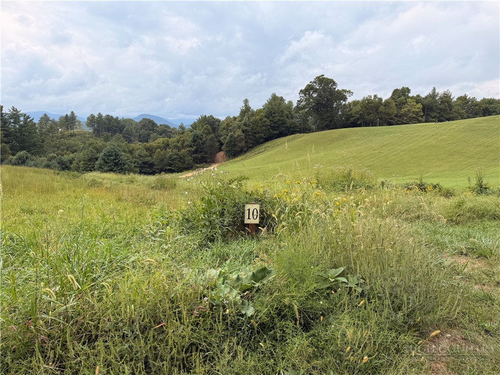 Lot 10 Sunrise Ln Property Photo 1