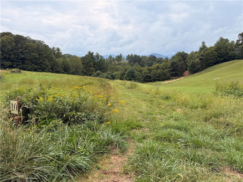 Lot 10 Sunrise Ln Property Photo 2