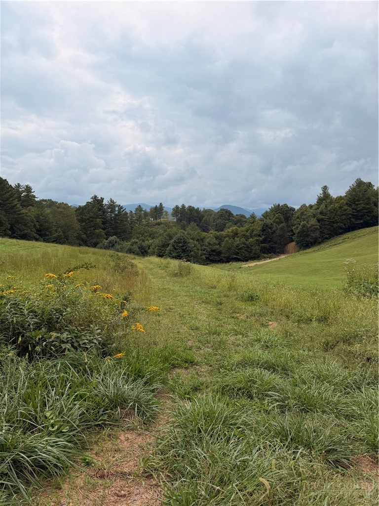 Lot 10 Sunrise Ln Property Photo 4