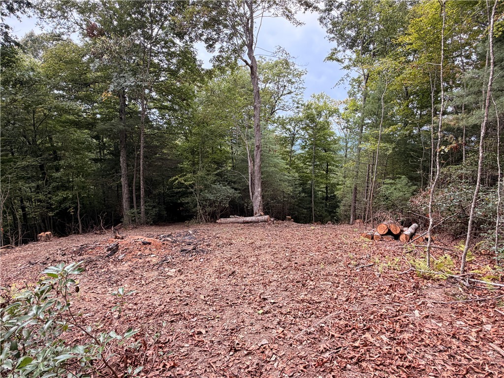 Lot 10 Sunrise Ln Property Photo 6
