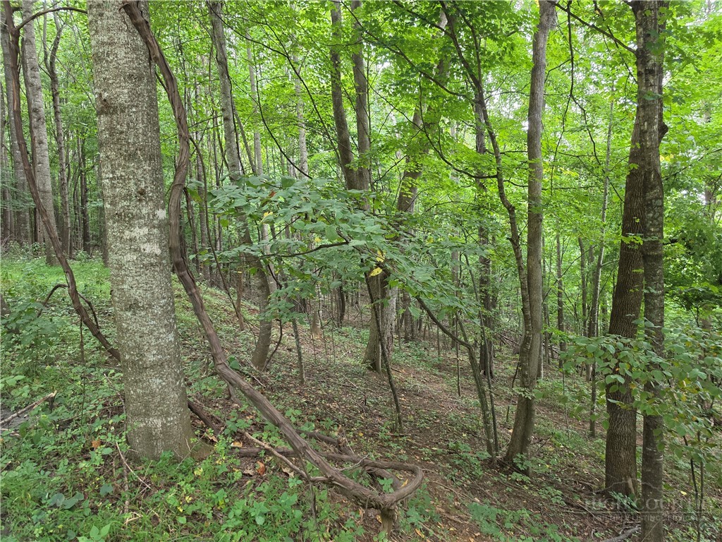 Lot 20 Townview Street Property Photo 9
