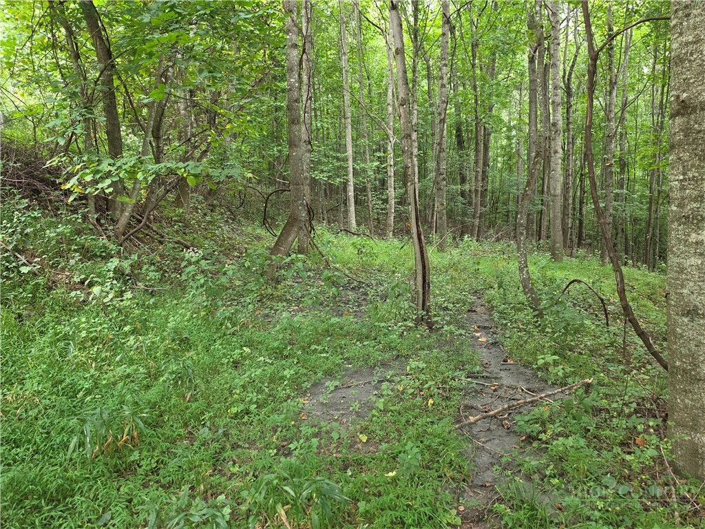 Lot 20 Townview Street Property Photo 10
