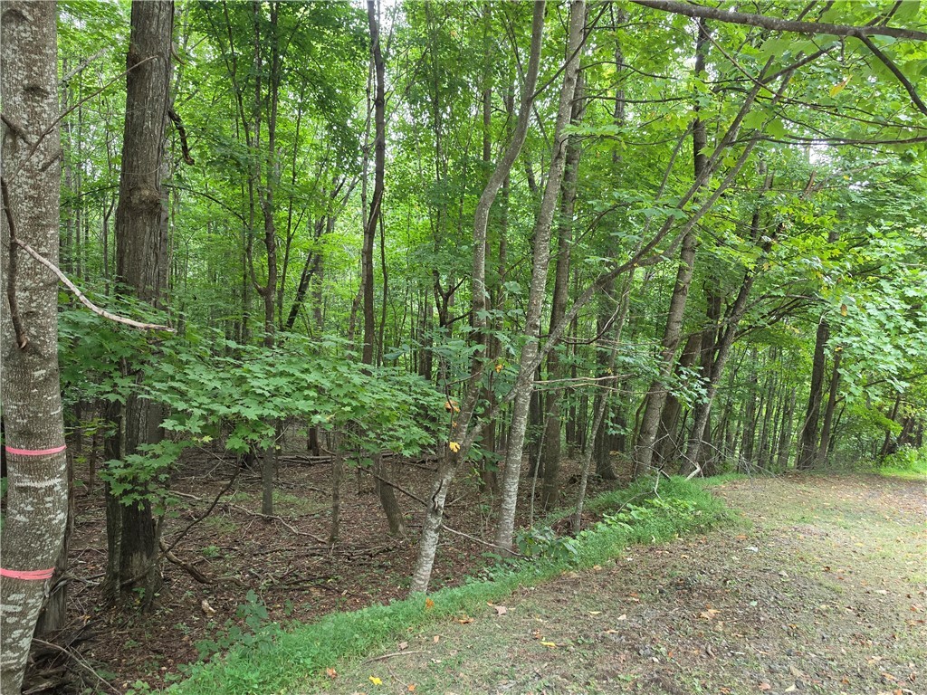 Lot 20 Townview Street Property Photo 11