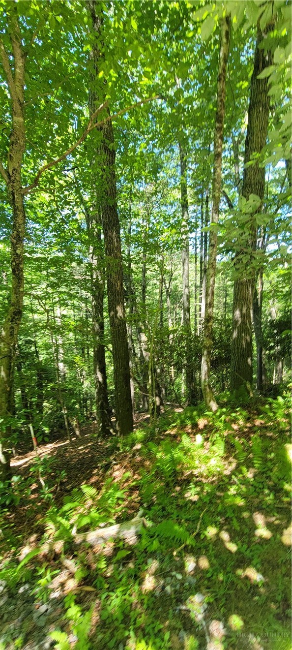 TBD River Front Ridge Drive
