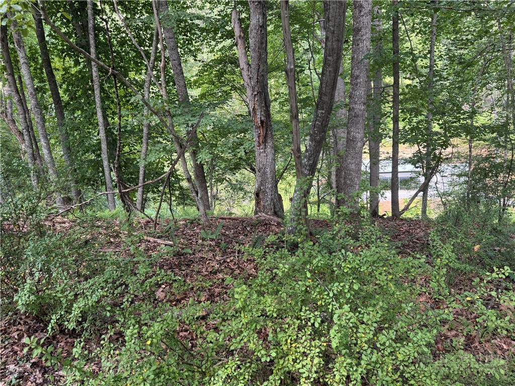Lot 56 Happy Eden Drive