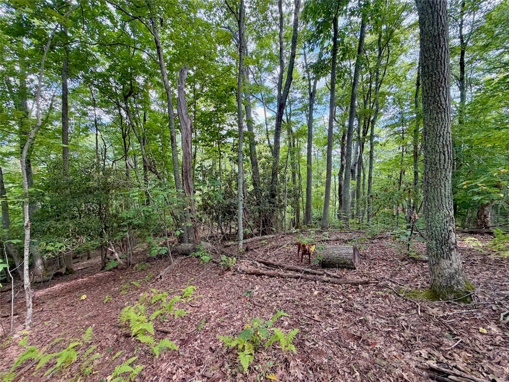 Tbd Galax Lane Property Photo 1