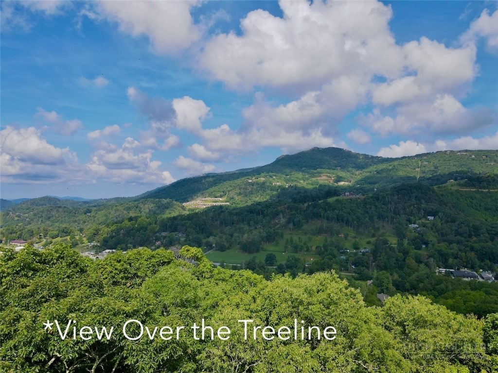 Tbd Galax Lane Property Photo 3