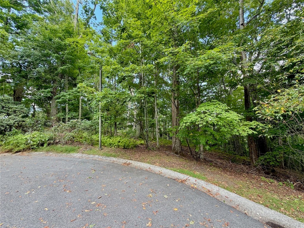 Tbd Galax Lane Property Photo 5