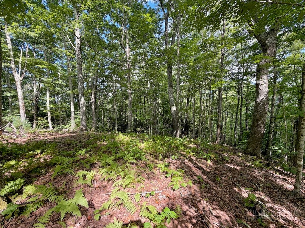 Tbd Galax Lane Property Photo 6