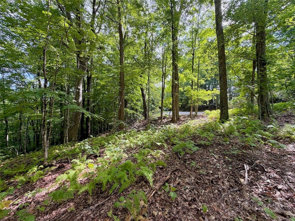 Tbd Galax Lane Property Photo 7