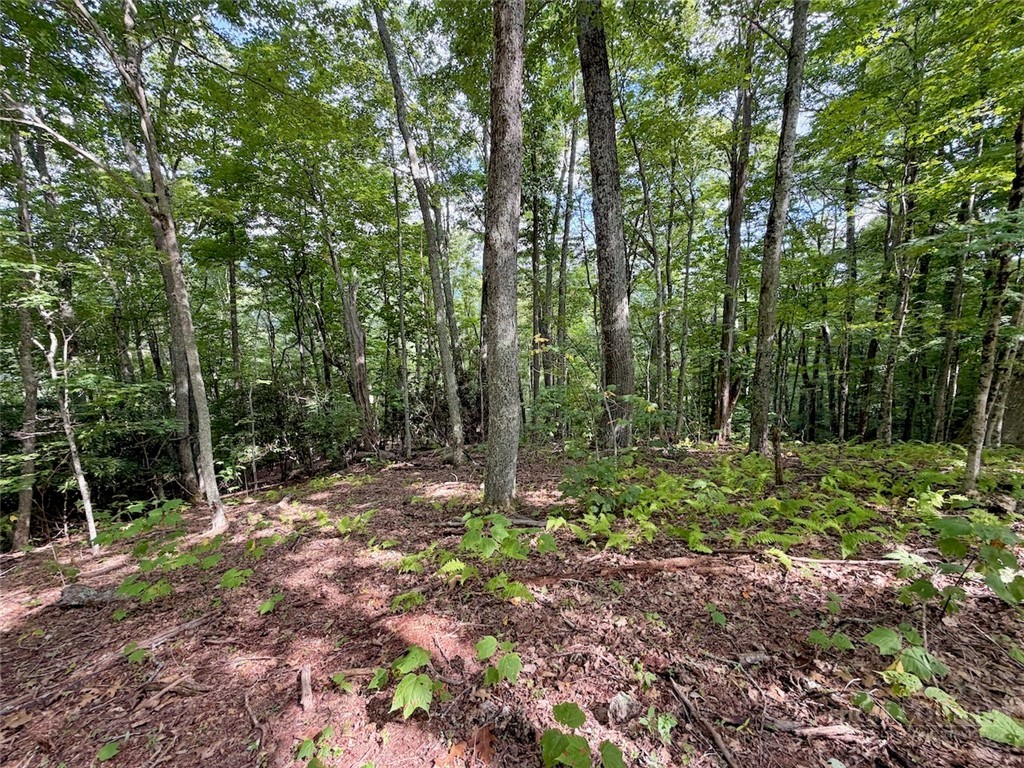 Tbd Galax Lane Property Photo 8