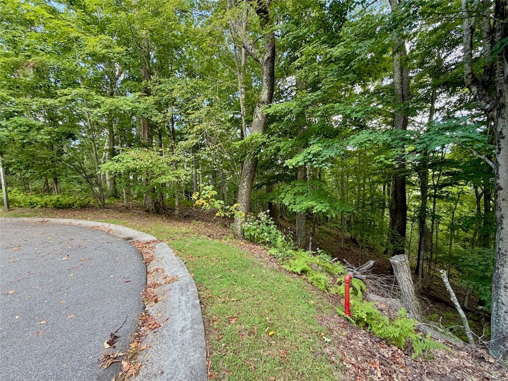 Tbd Galax Lane Property Photo 9