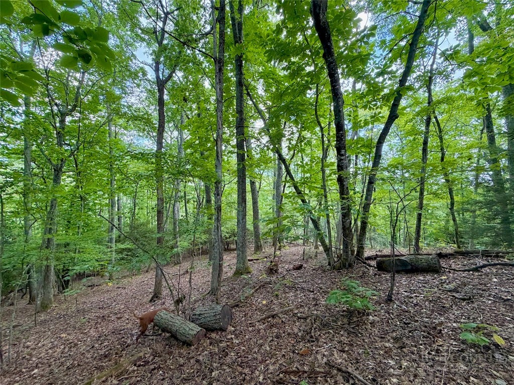 Tbd Galax Lane Property Photo 12