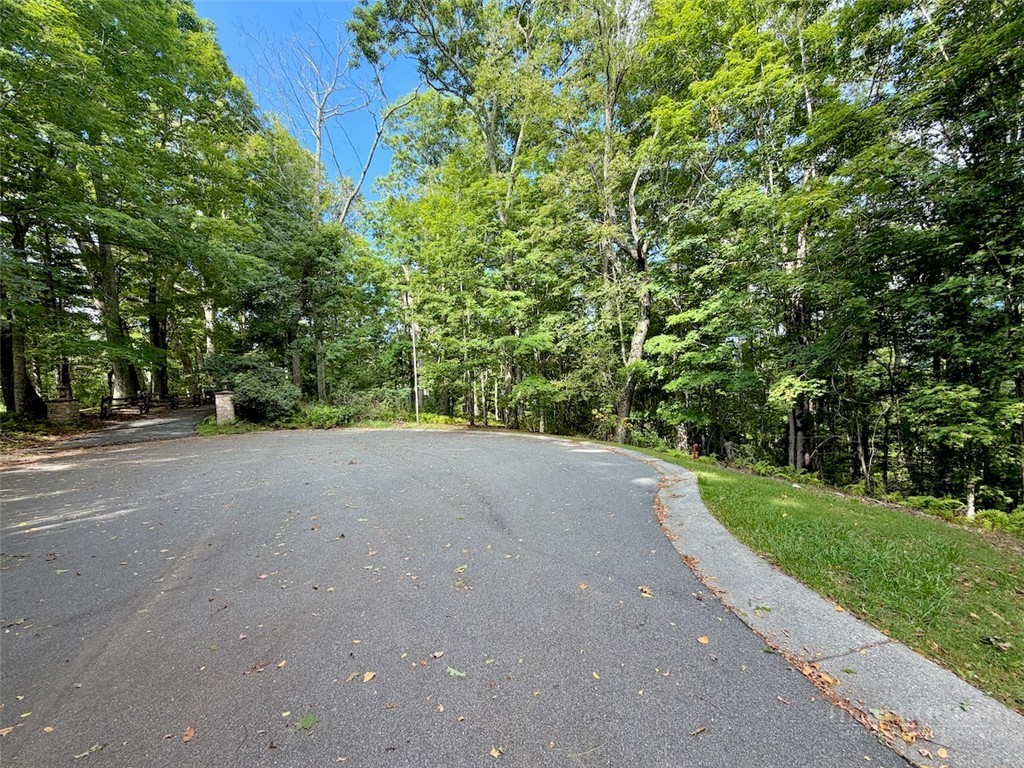 Tbd Galax Lane Property Photo 13