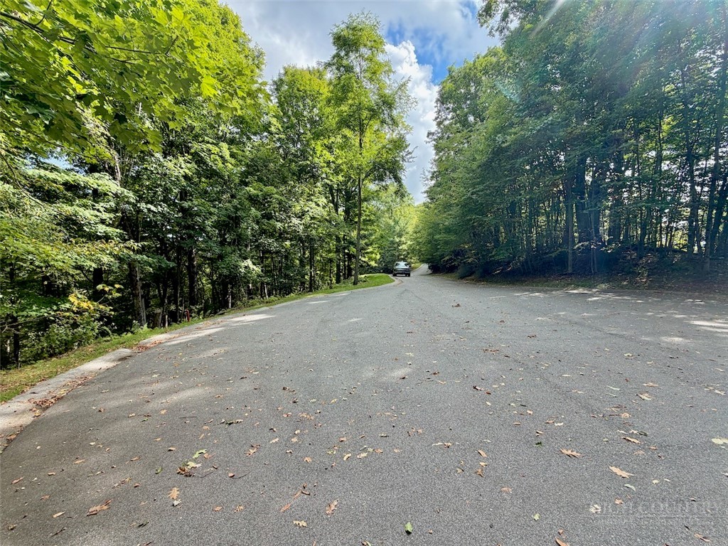 Tbd Galax Lane Property Photo 14