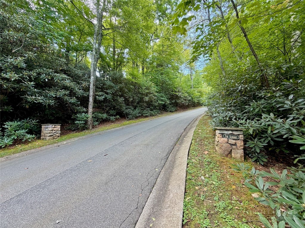 Tbd Galax Lane Property Photo 15