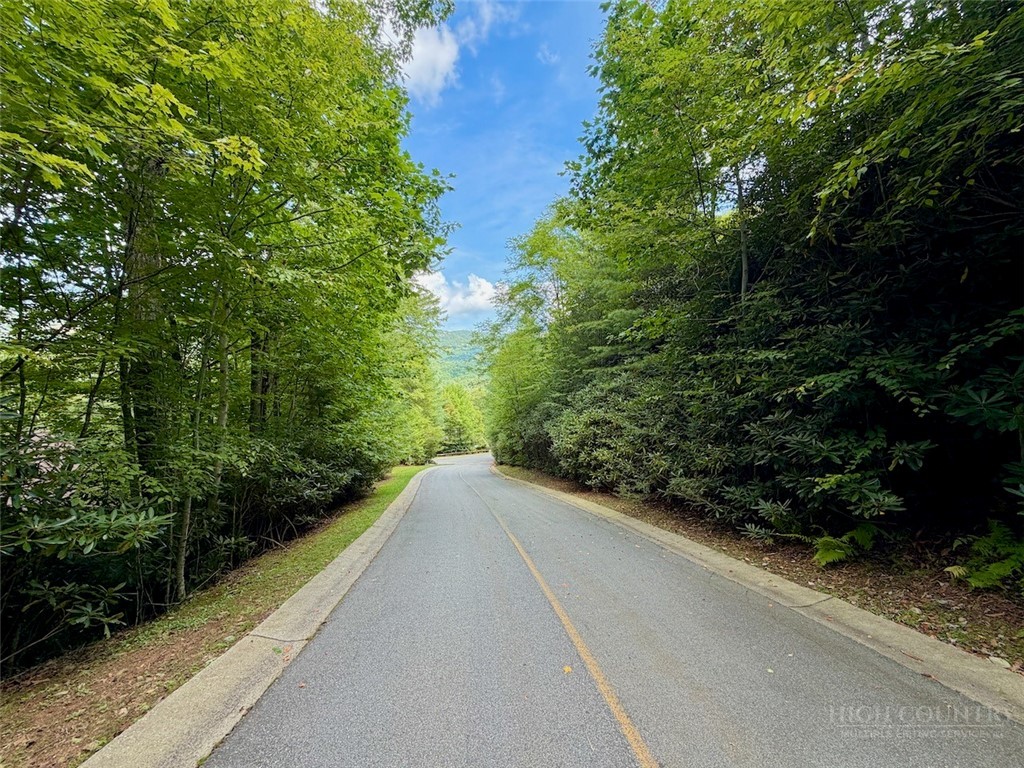 Tbd Galax Lane Property Photo 16