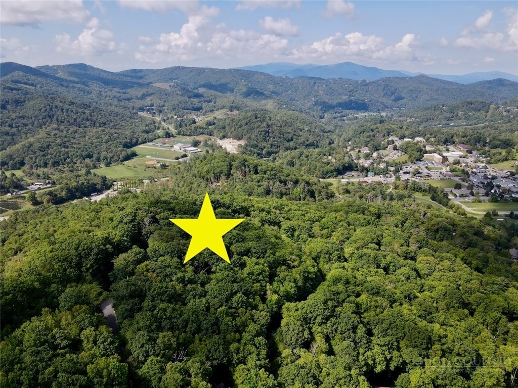 Tbd Galax Lane Property Photo 18
