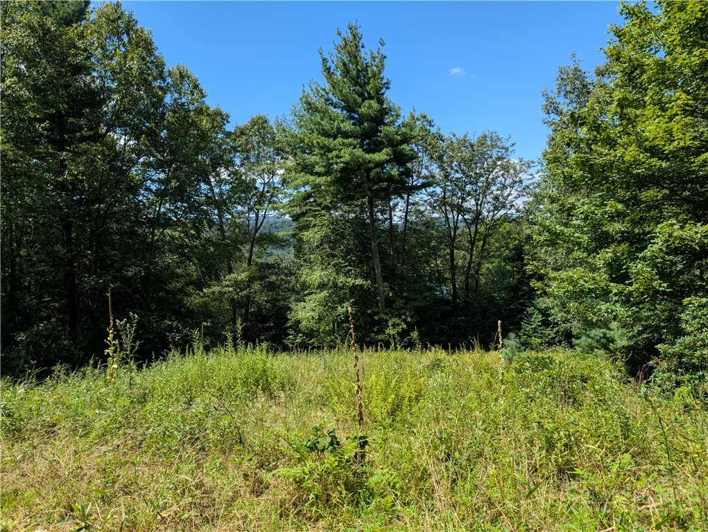 Lot #3 Parkway Pointe Drive Property Photo 1