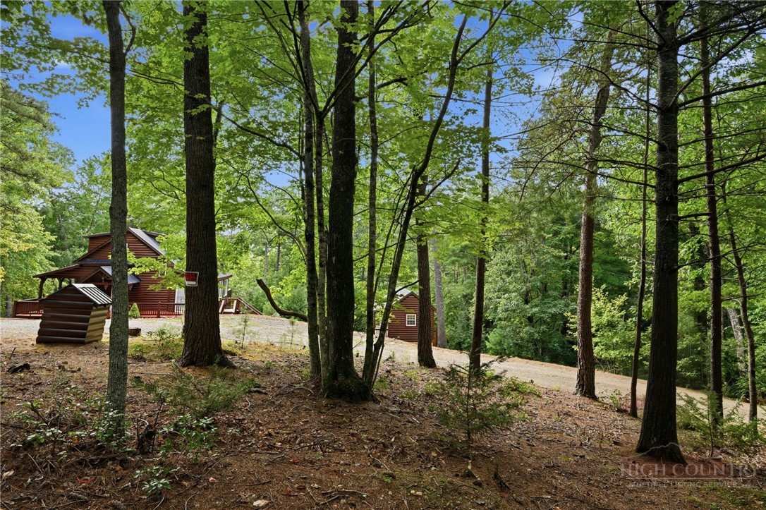 1158 Staghorn Road Property Photo 39