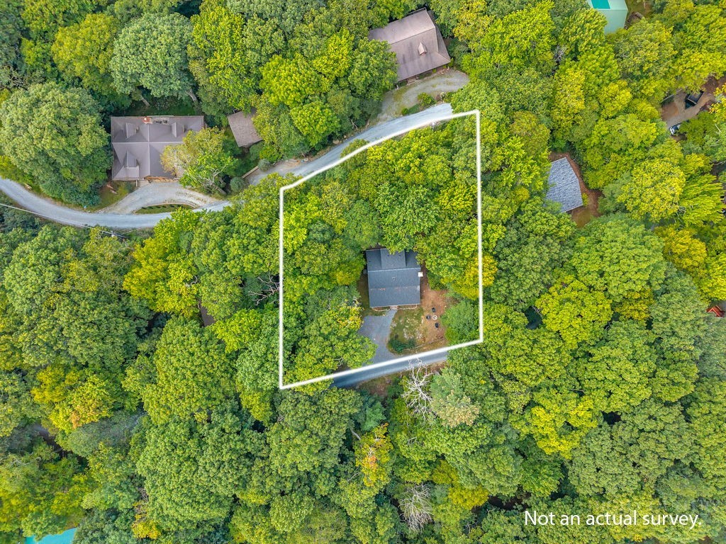 461 Galax Circle Property Photo 29