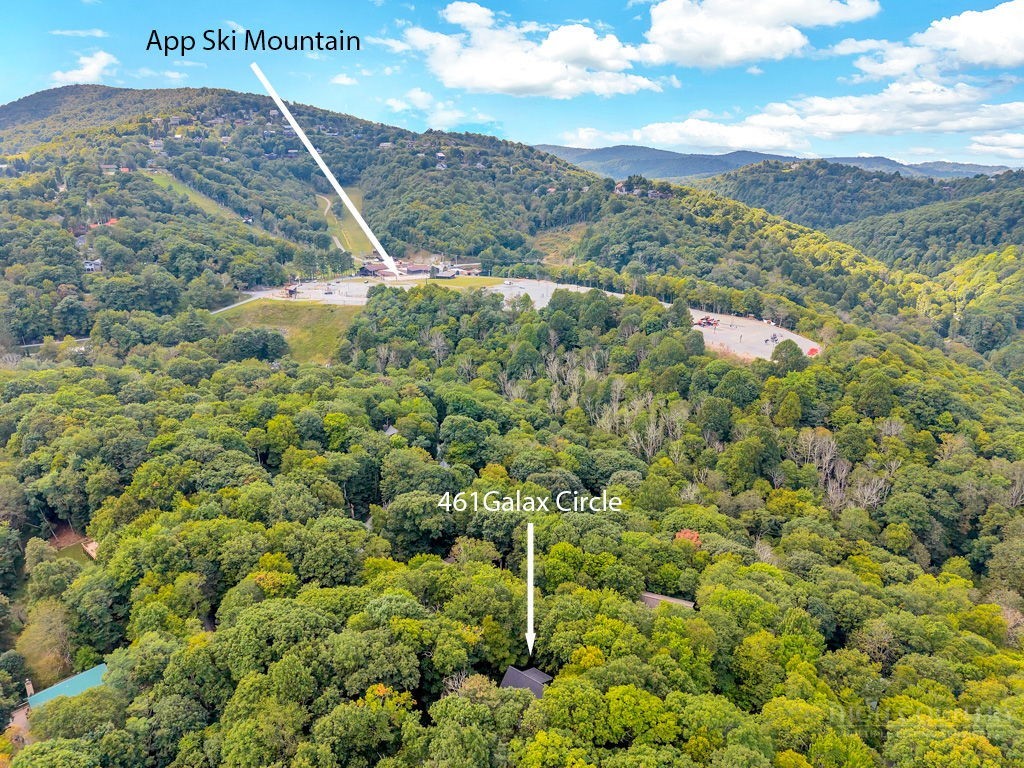 461 Galax Circle Property Photo 30